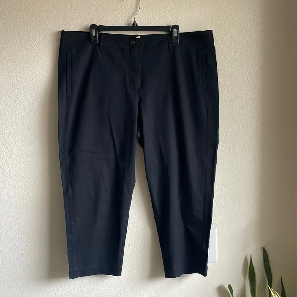 Eileen Fisher Organic Cotton Blend Stretch Black Crop Pants XL - Picture 3 of 7
